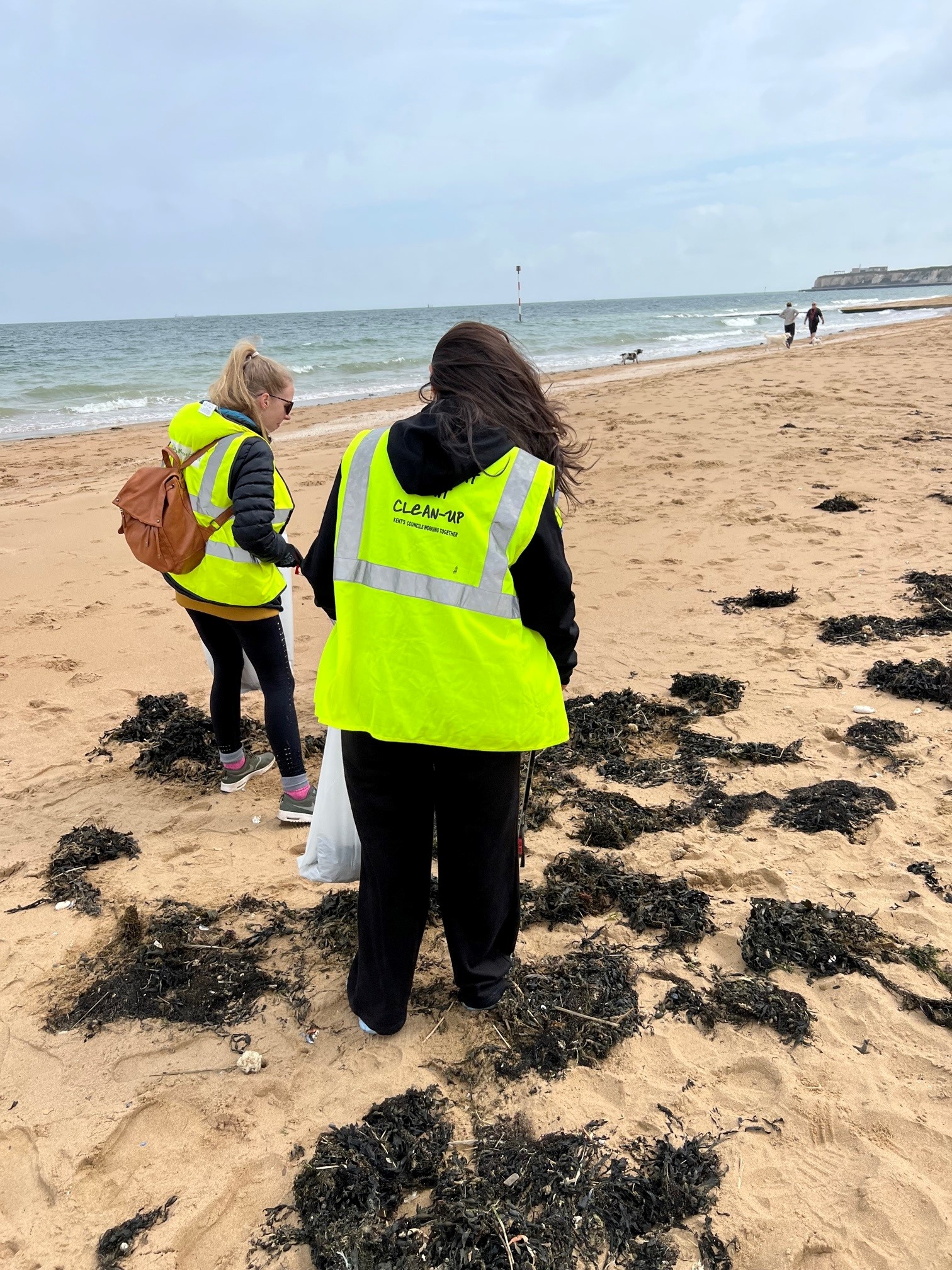 Kent Express Dental Supplies hosts  beach clean-up volunteer day