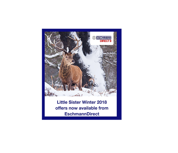 Dentistry at sea – David Gibson