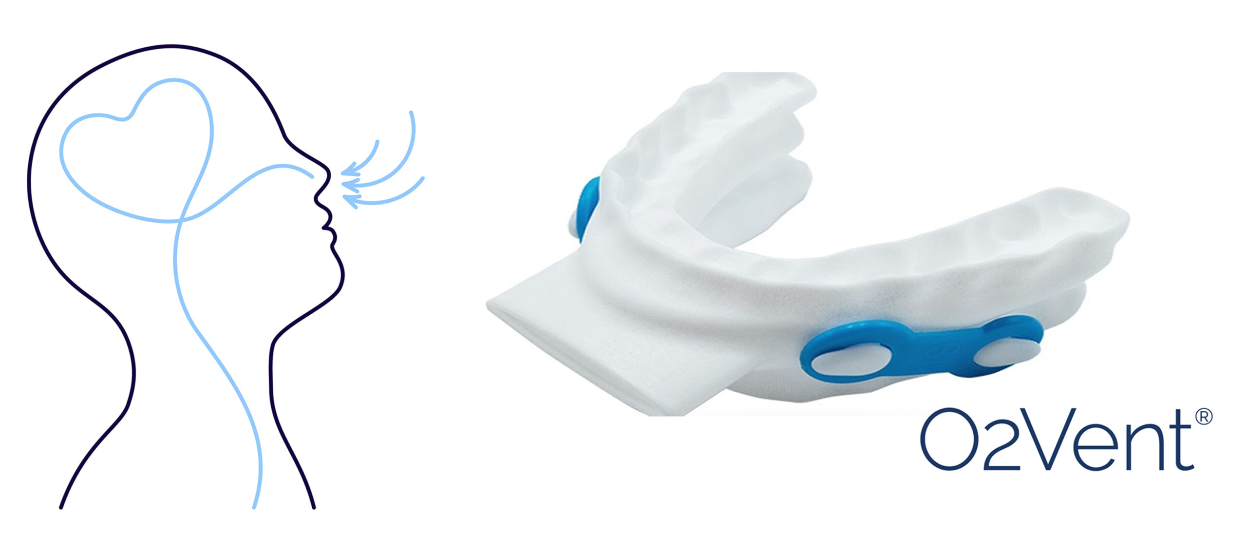 The role of the nose