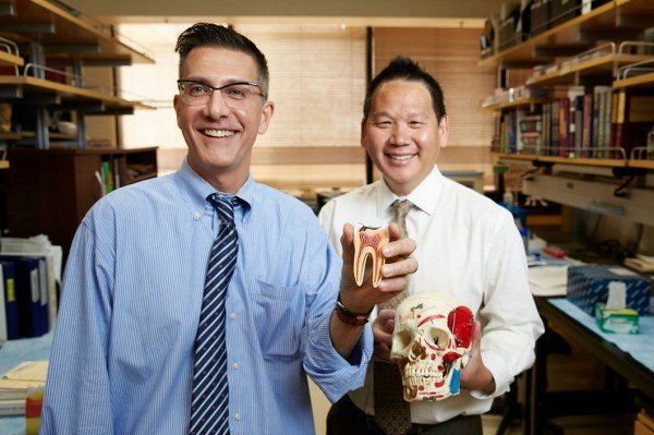 New method for extracting tooth root pulp means richer stem-cell harvest