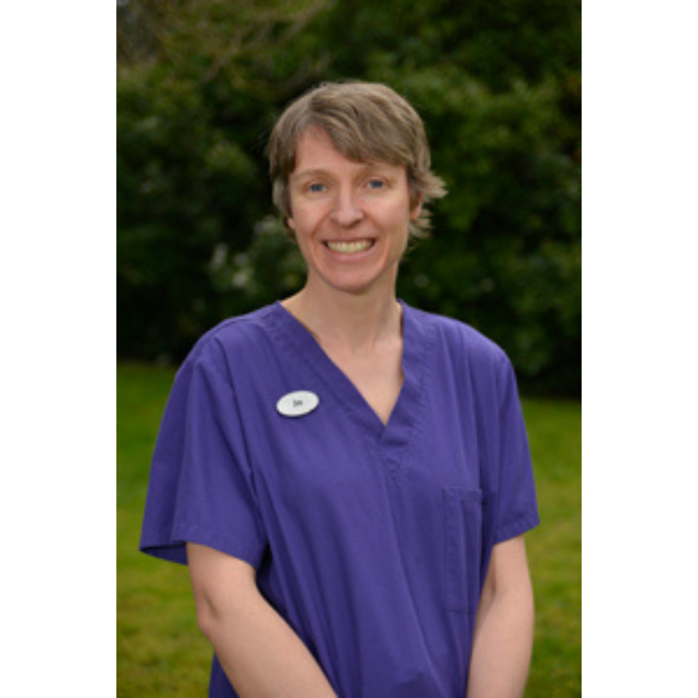 Dental Nurse Jo Dawson wins Philips-sponsored place on Smile Revolution course