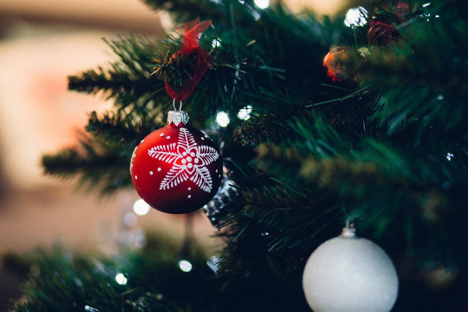 Save A Smile with the Oral Health Foundation this Christmas