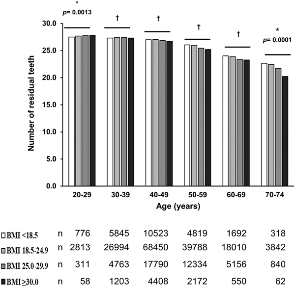 The higher the BMI, the greater the risk of tooth loss