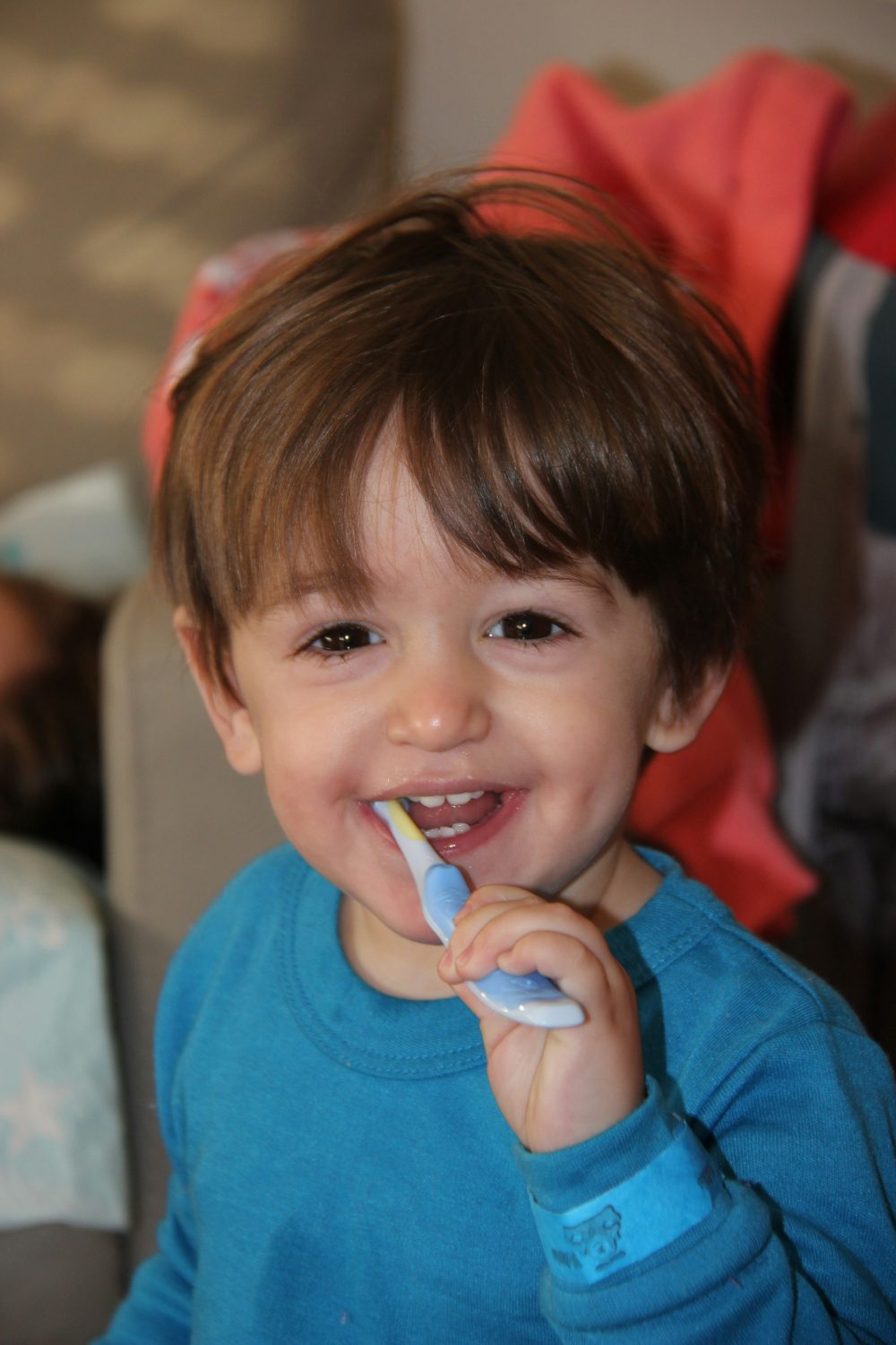 BSPD welcomes latest BRUSH research showing major supervised toothbrushing progress