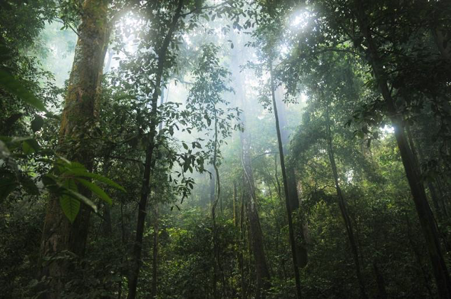 Putting sustainability at the heart of business success
